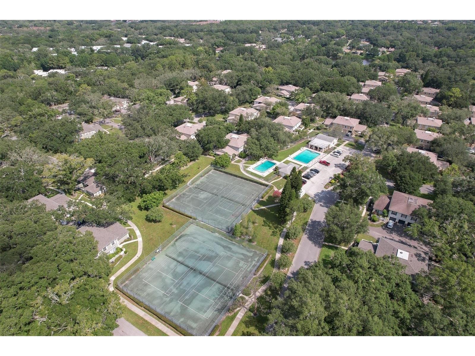 6322 Treetop Circle Temple Terrace FL 33617 TB8498654 image44