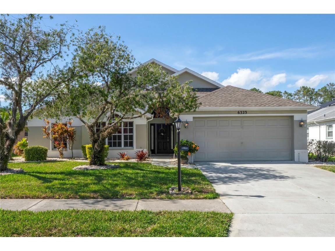 6323 Cardinal Crest Drive New Port Richey FL 34655 W7872341 image1