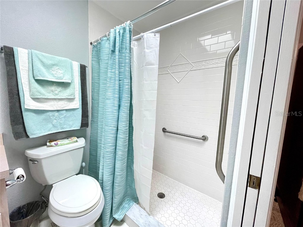 6323 Silver Lakes Drive E Lakeland FL 33810 S5138956 image28