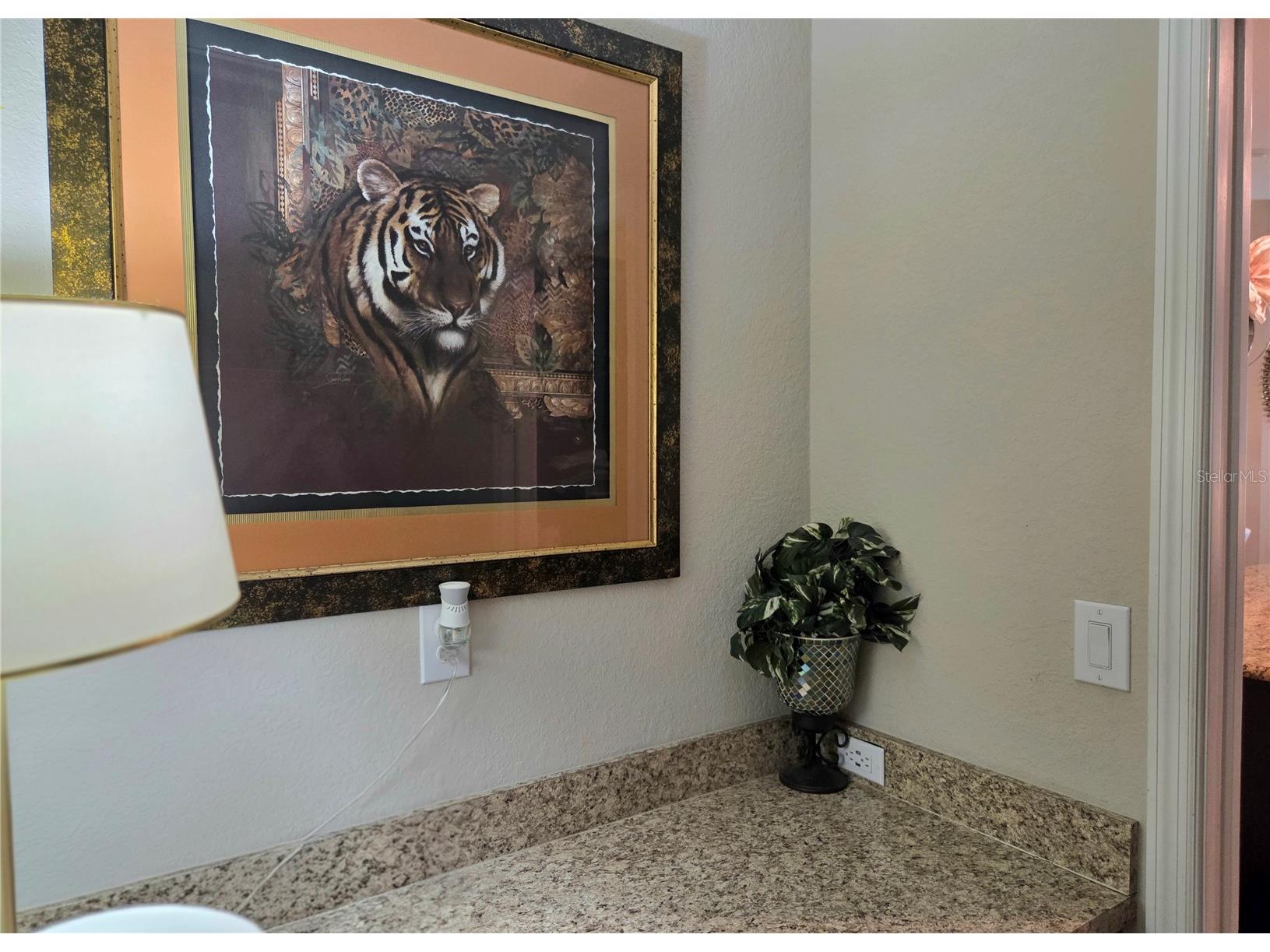 6324 165th Drive E Parrish FL 34219 TB8523484 image29