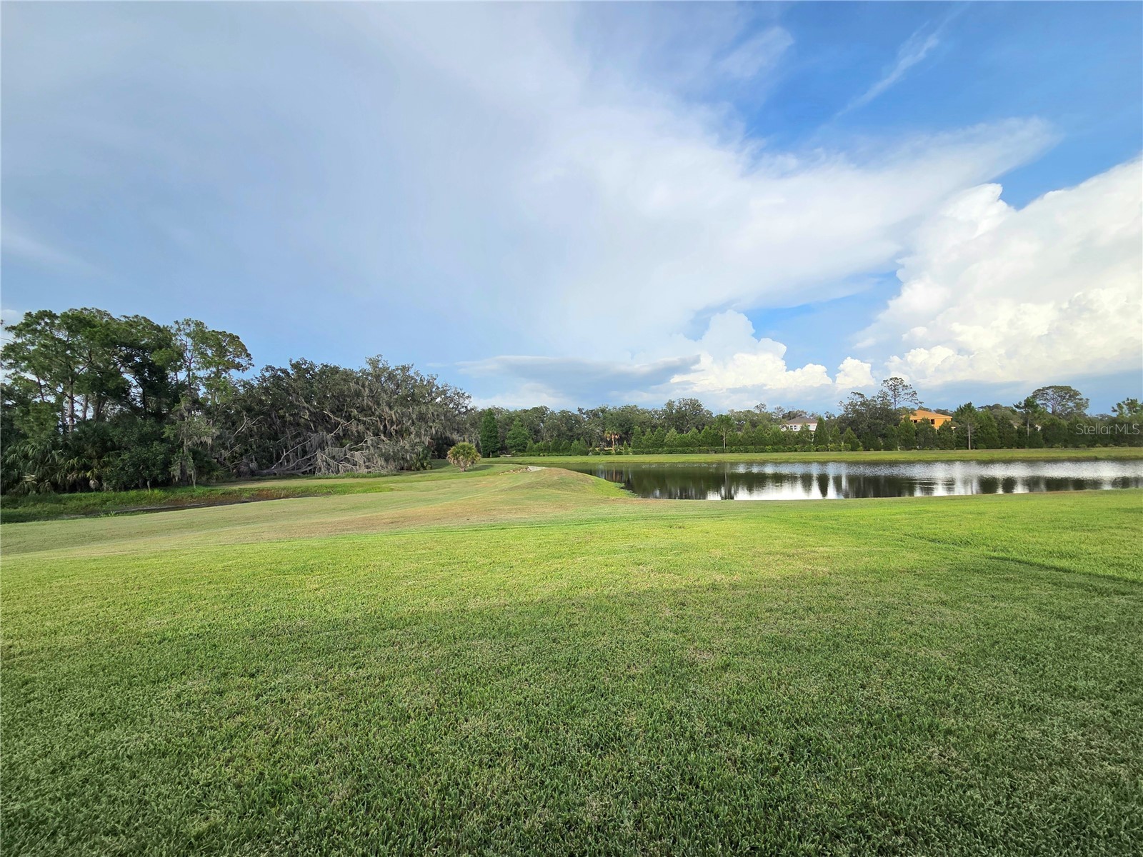 6324 165th Drive E Parrish FL 34219 TB8523484 image38