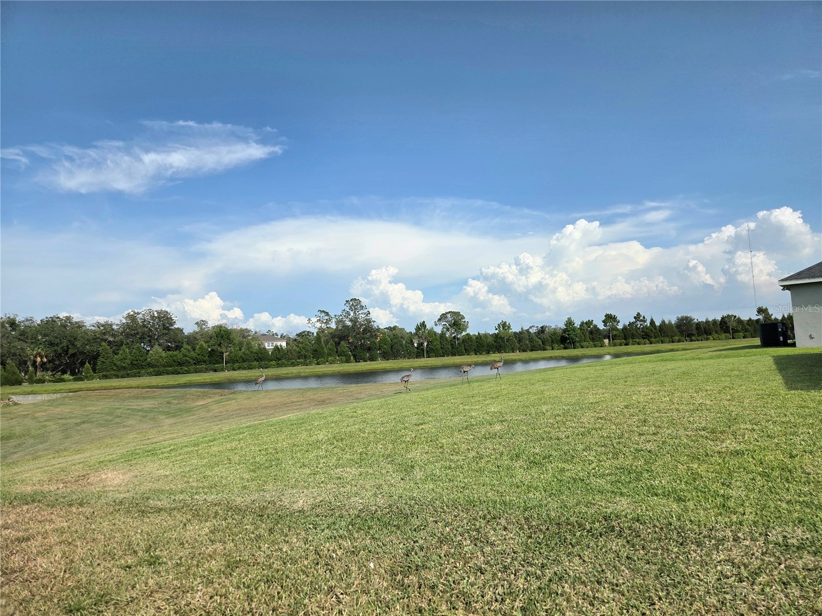 6324 165th Drive E Parrish FL 34219 TB8523484 image39