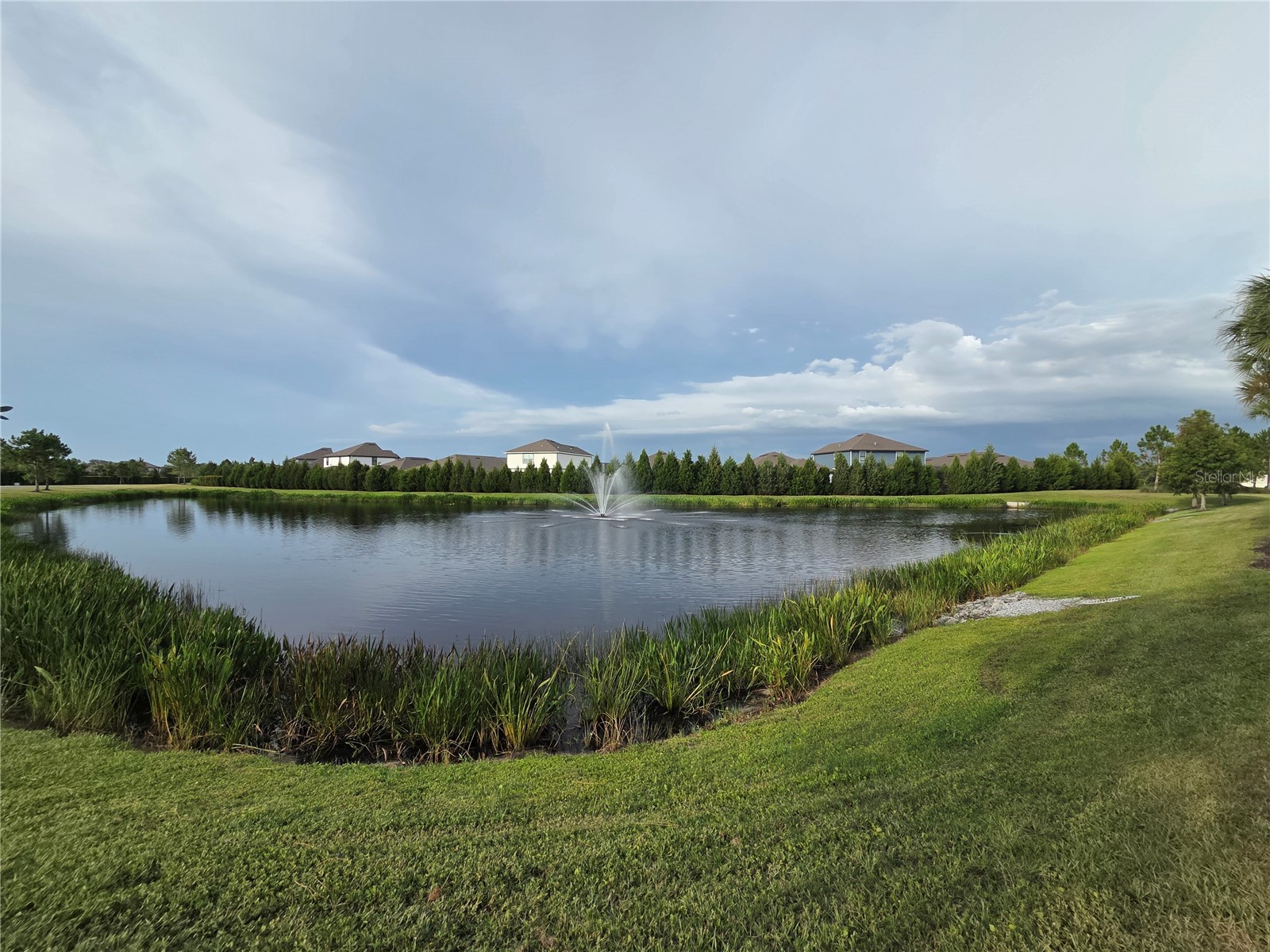 6324 165th Drive E Parrish FL 34219 TB8523484 image45