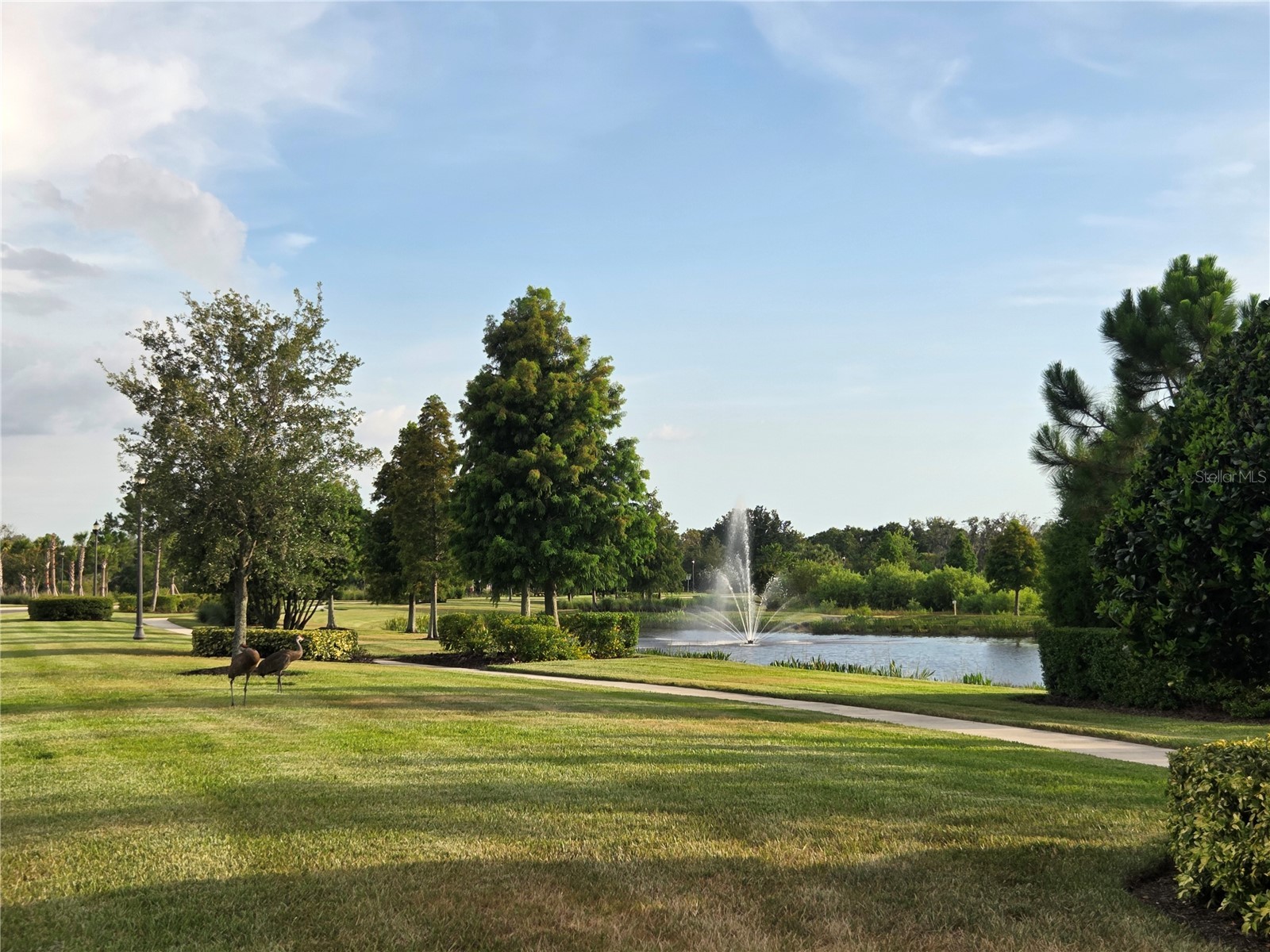 6324 165th Drive E Parrish FL 34219 TB8523484 image56
