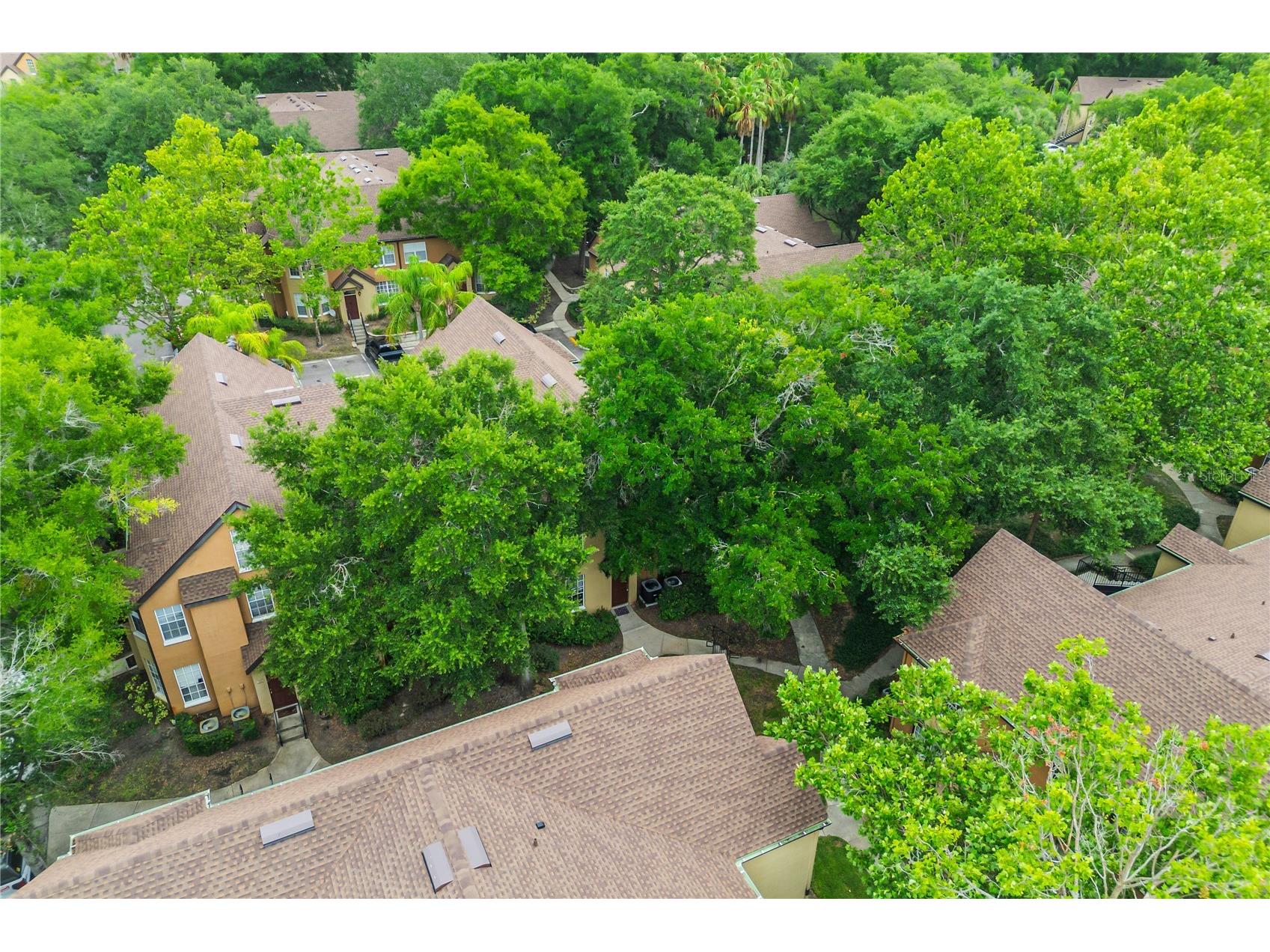 6324 Raleigh Street #702 Orlando FL 32835 O6414651 image50