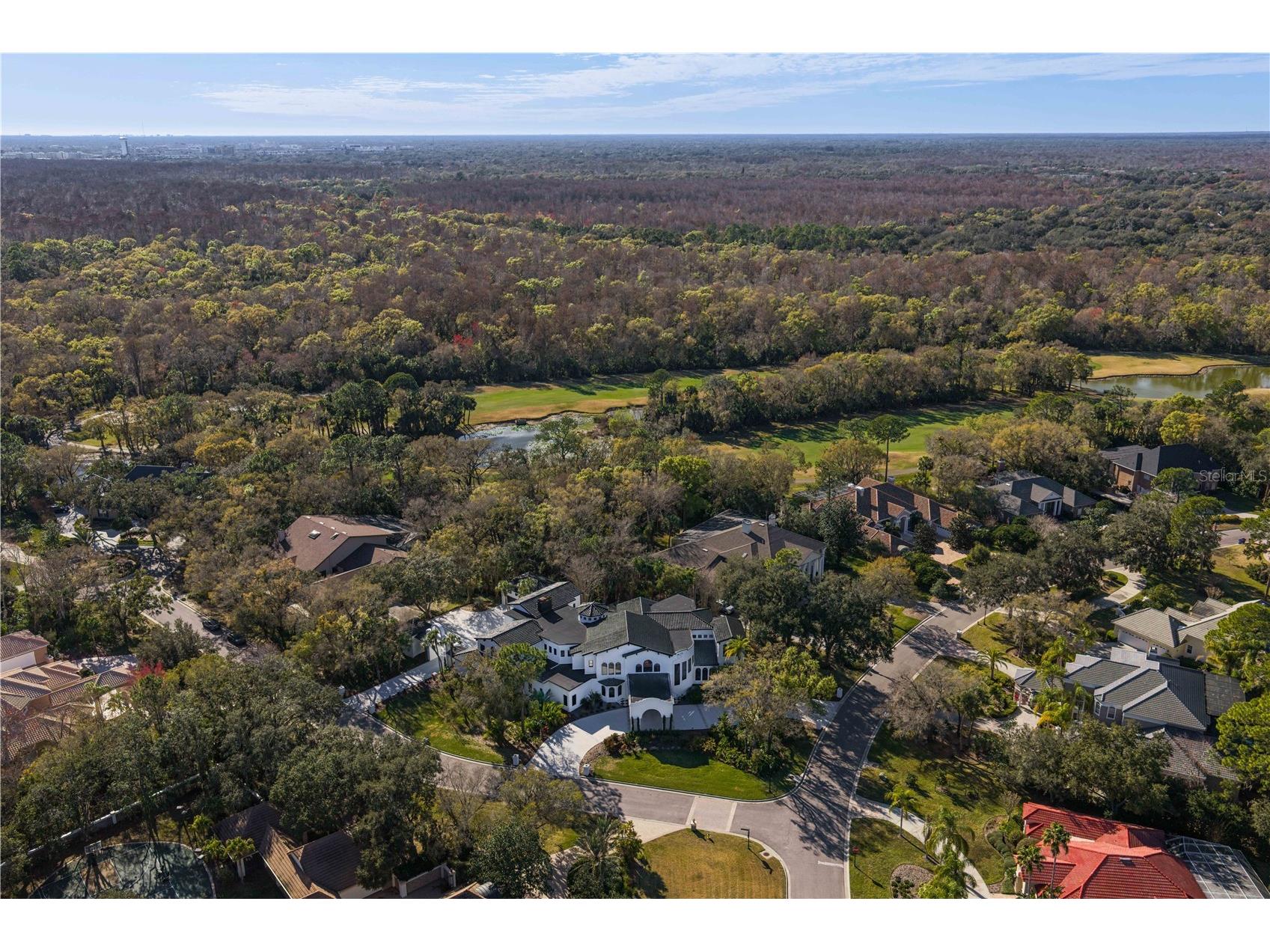 6324 W Maclaurin Drive Tampa FL 33647 TB8467542 image98