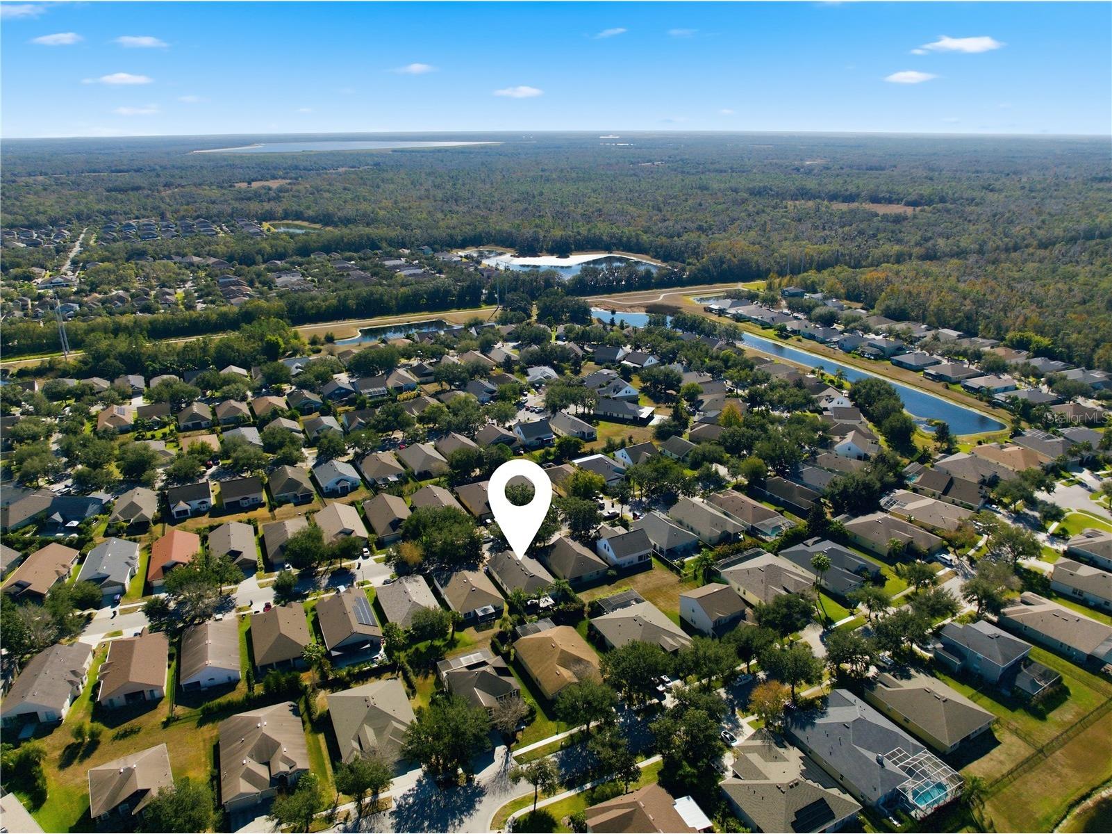 6325 Bridgecrest Drive Lithia FL 33547 TB8466217 image69