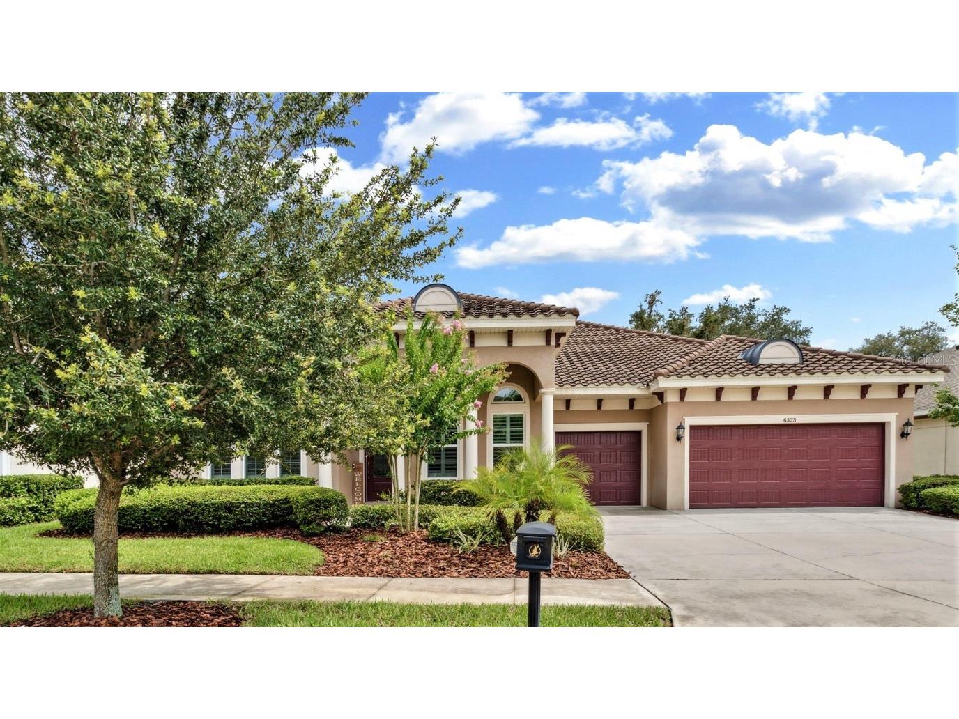 6325 Knob Tree Drive Lithia FL 33547 T3462557 image1
