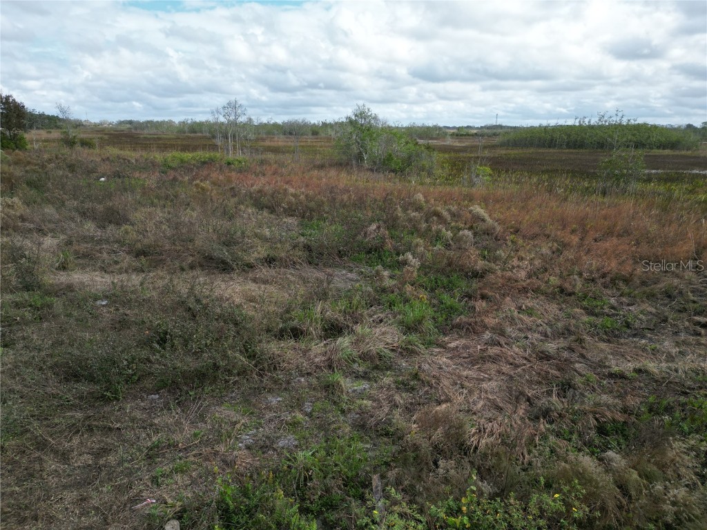 6325 Lake Lowery Road Haines City FL 33844 L4949461 image1