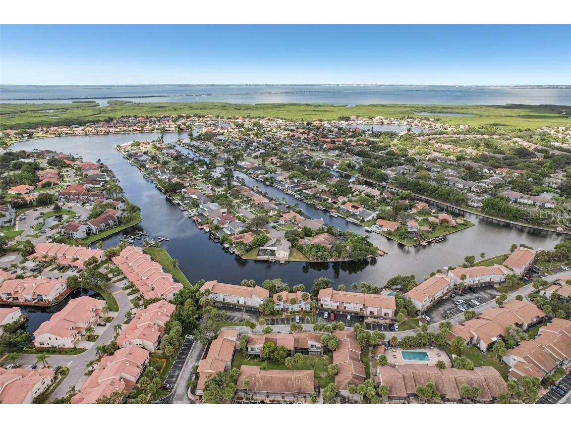 6325 Newtown Circle #25B2 Tampa FL 33615 TB8344539 image58