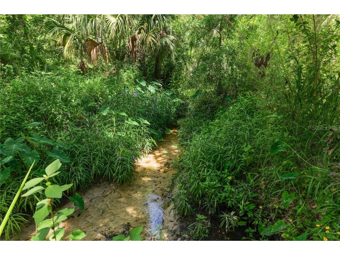 6325 Oakview Lane Lakeland FL 33811 L4954059 image11