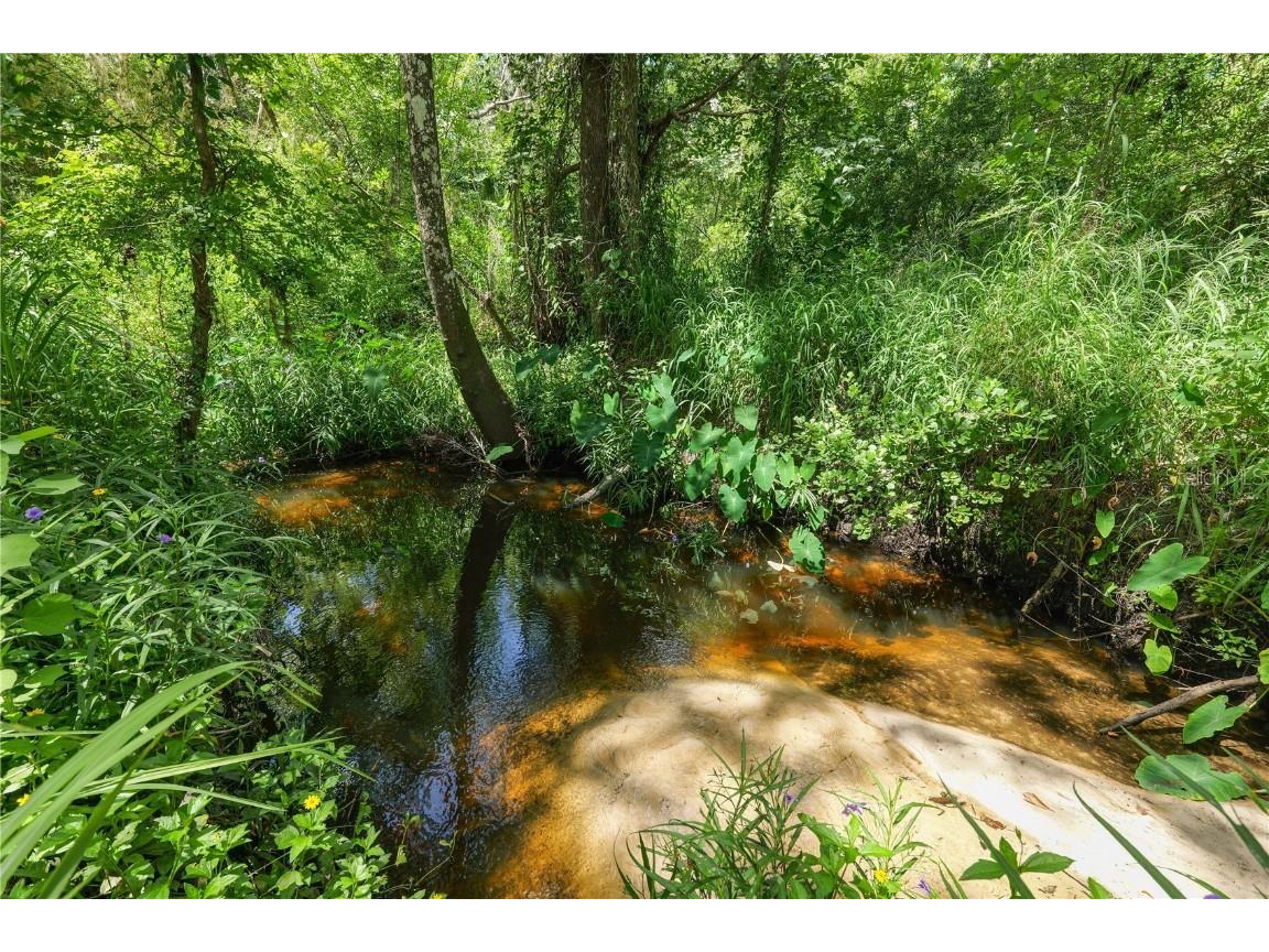 6325 Oakview Lane Lakeland FL 33811 L4954059 image60