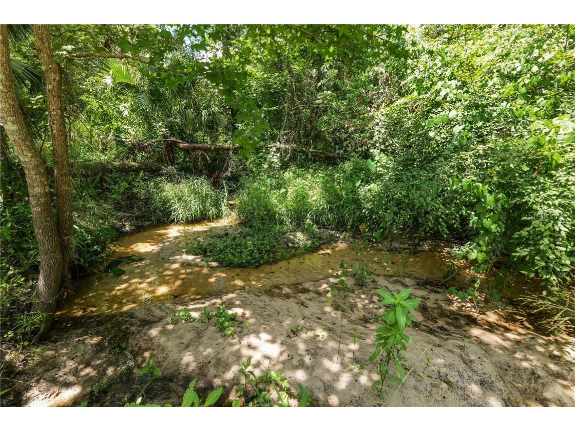 6325 Oakview Lane Lakeland FL 33811 L4954059 image61