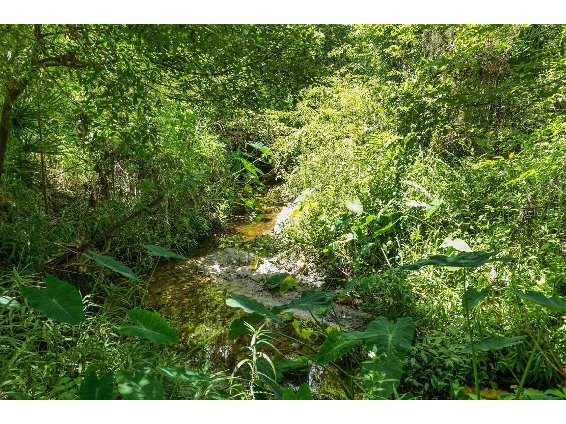 6325 Oakview Lane Lakeland FL 33811 L4954059 image62