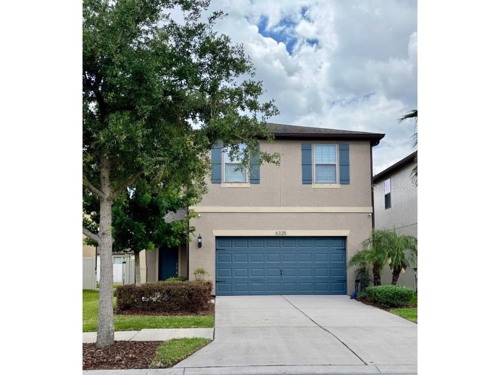 6325 Yellow Buckeye Drive Riverview FL 33578 TB8381761 image1