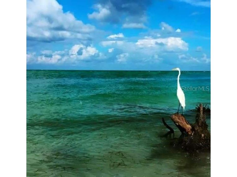 6326 7th Avenue W #6326 Bradenton FL 34209 A4667225 image20