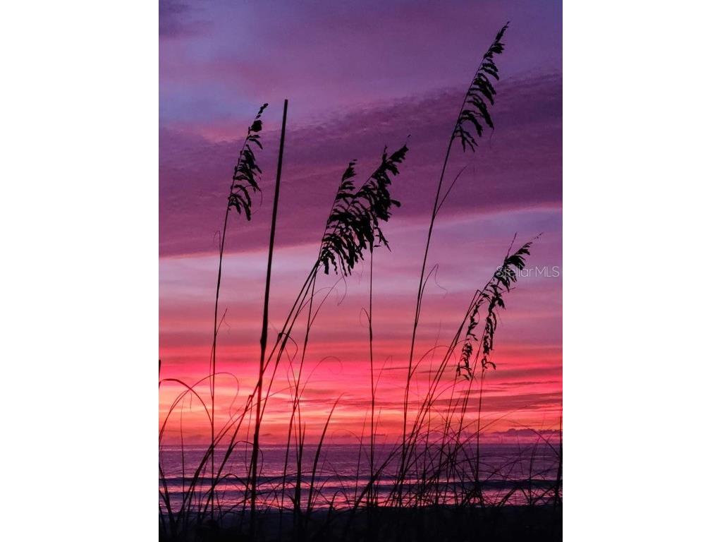 6326 7th Avenue W #6326 Bradenton FL 34209 A4667225 image22