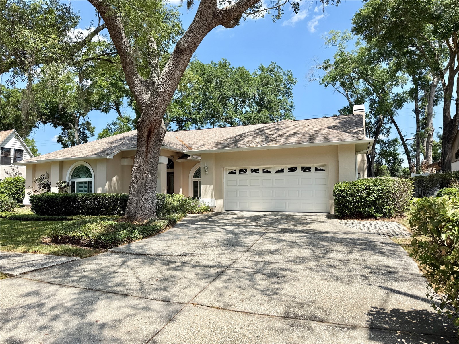 6326 N Queensway Dr Temple Terrace FL 33617 TB8499546 image3