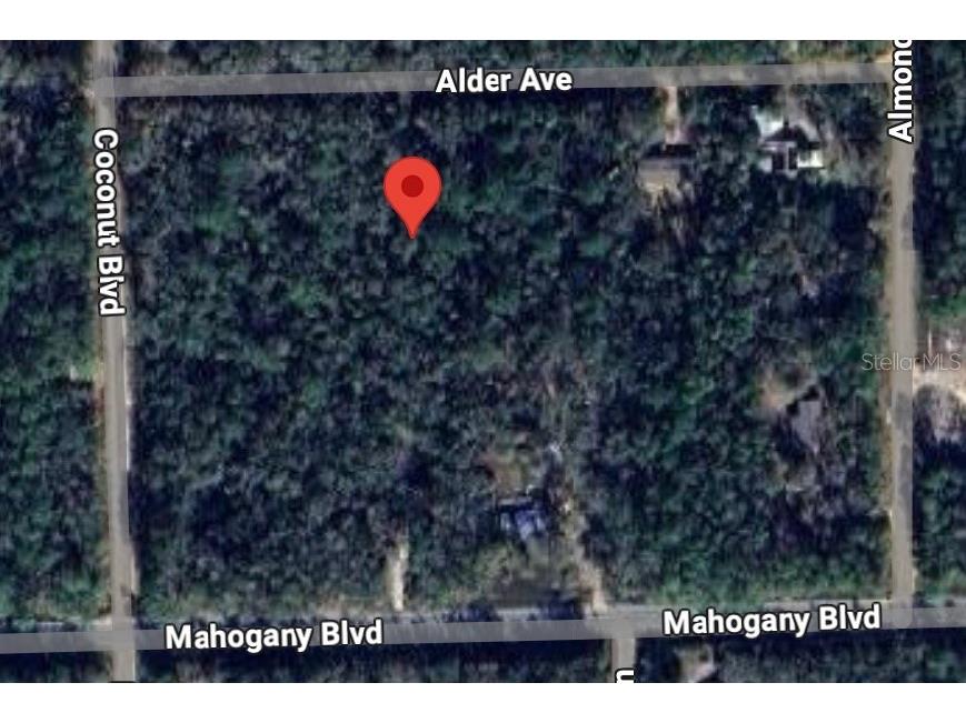 6327 Alder Avenue Bunnell FL 32110 FC307950 image1