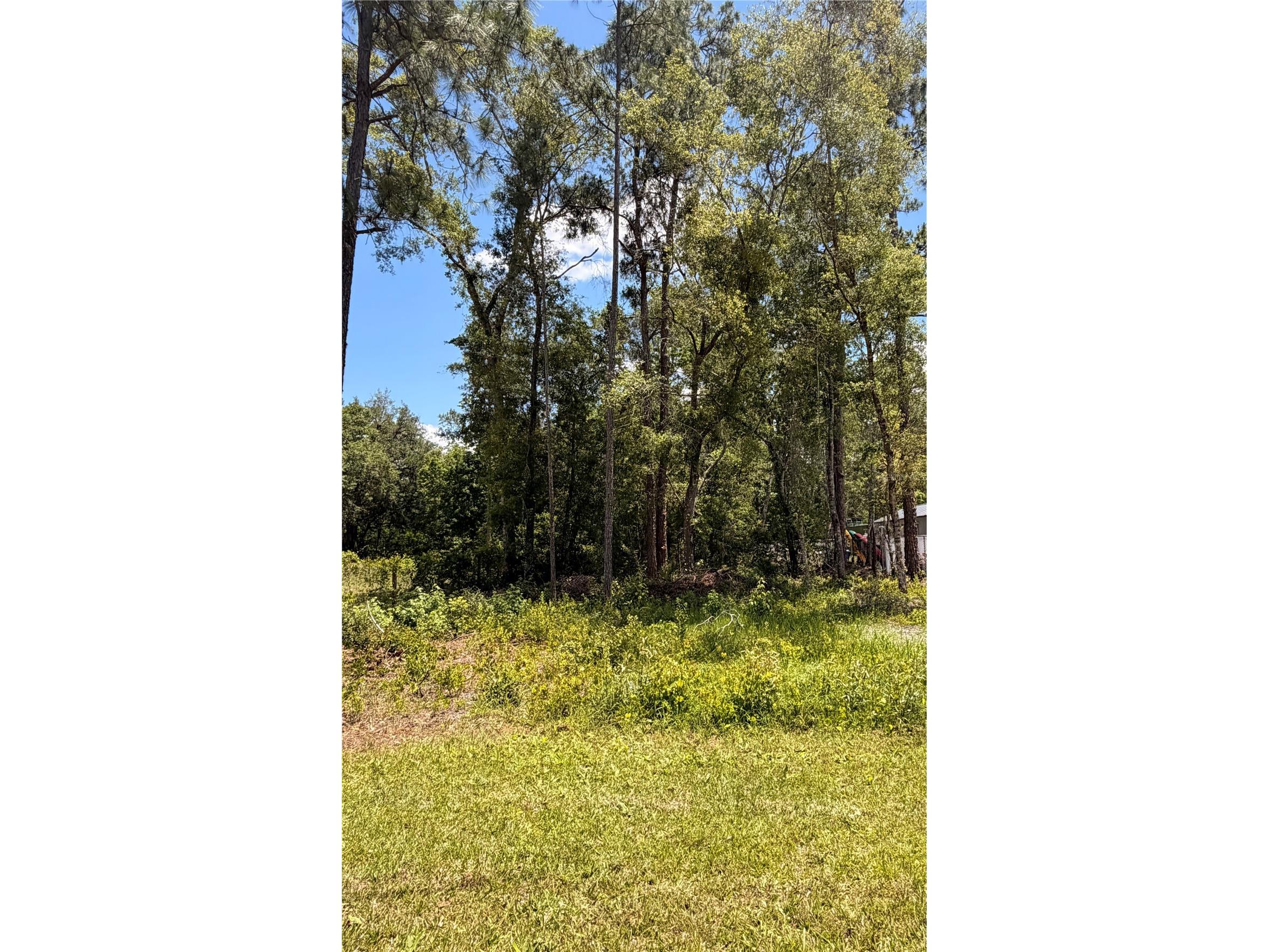 6327 Fig Avenue Webster FL 33597 TB8503753 image1
