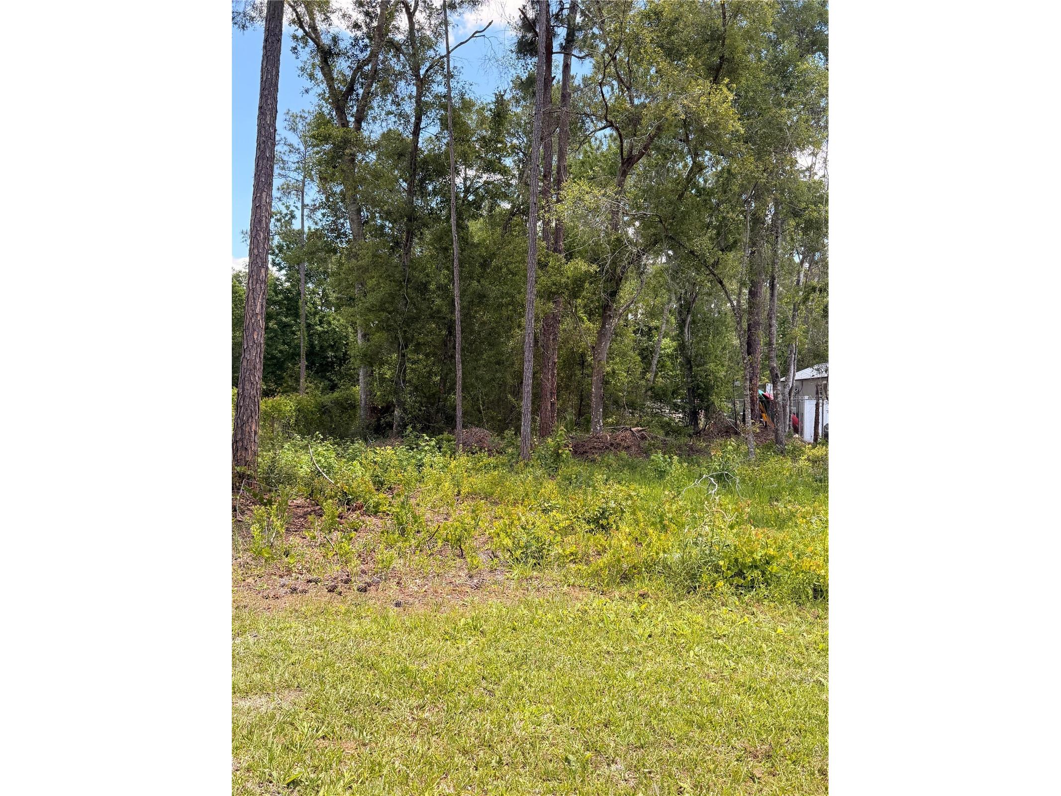 6327 Fig Avenue Webster FL 33597 TB8503753 image2