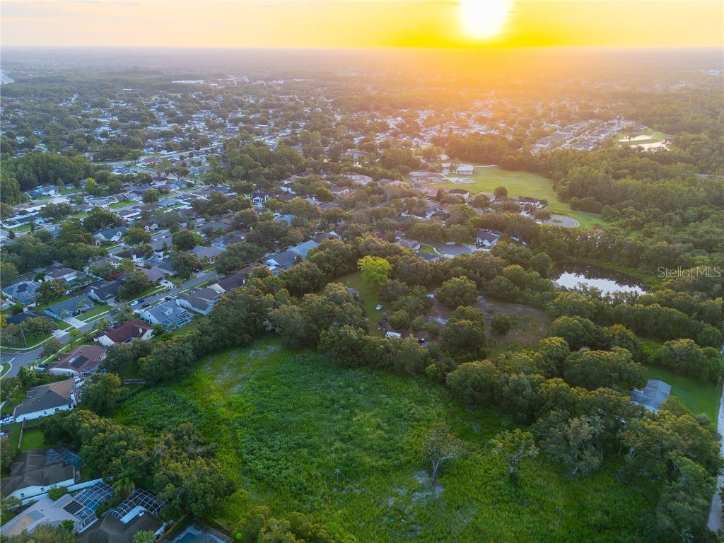 6327 Gant Road Tampa FL 33625 TB8410525 image4