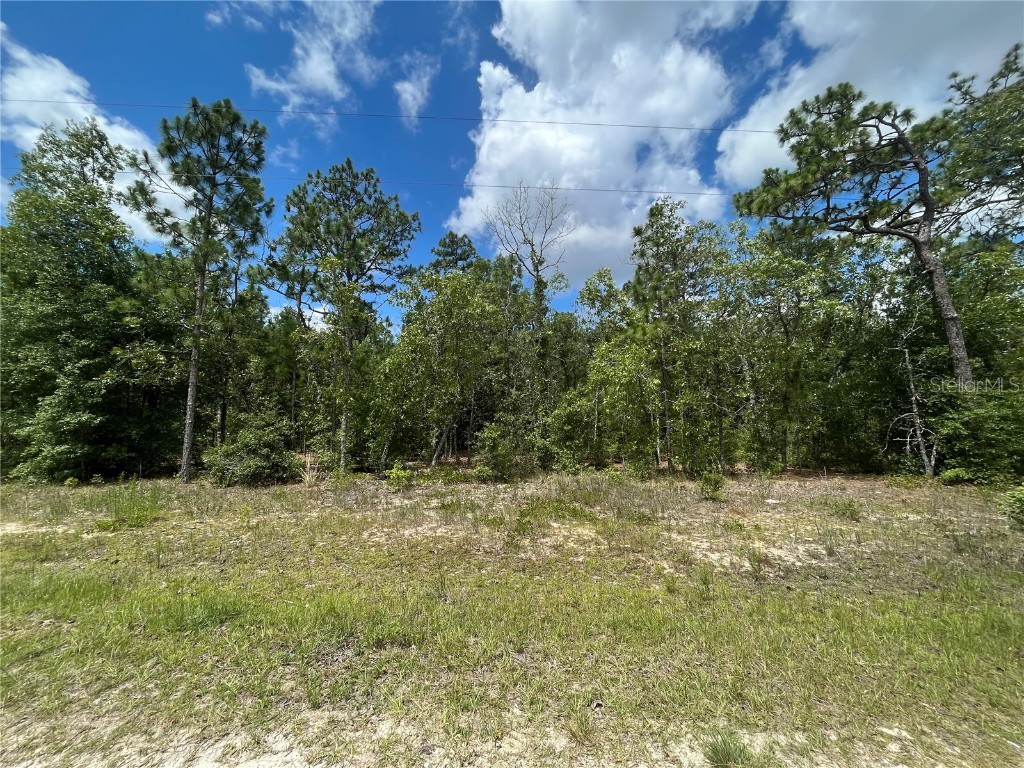 6327 Reed Drive Keystone Heights FL 32656 OK222832 image1