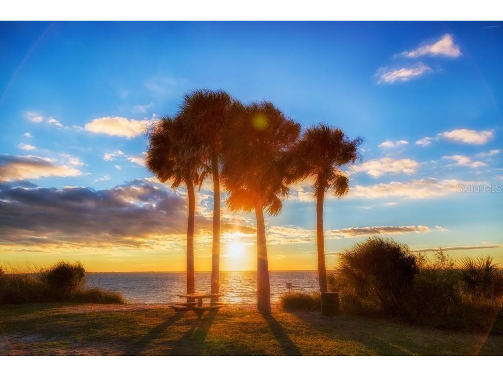 6327 S Renellie Court Tampa FL 33616 TB8467828 image4