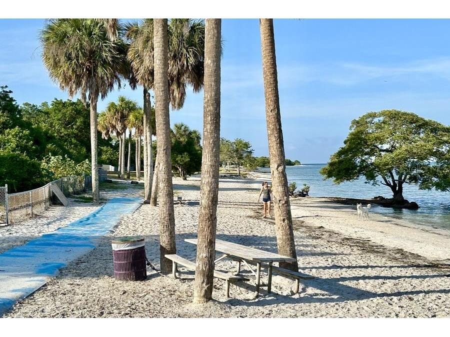 6327 S Renellie Court Tampa FL 33616 TB8467828 image5