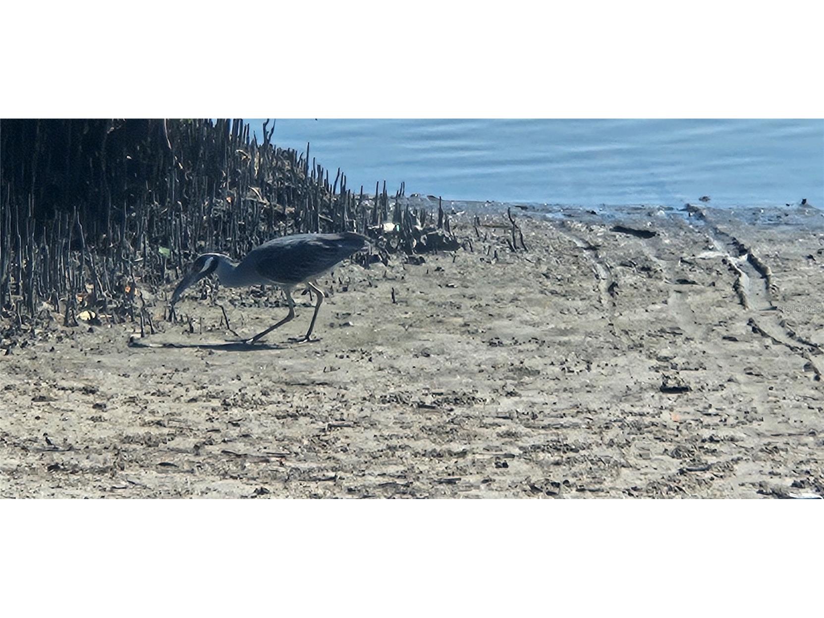 6328 Georgia Avenue Bradenton FL 34207 A4671333 image28