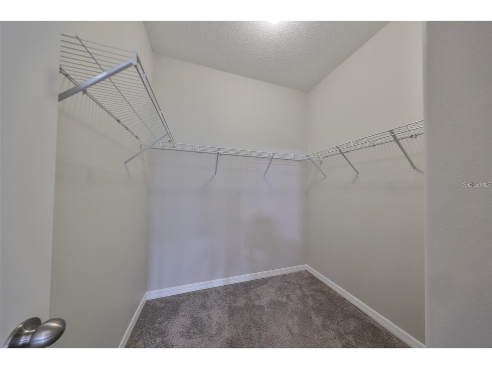 6328 Lantern View Place Apollo Beach FL 33572 TB8514802 image16