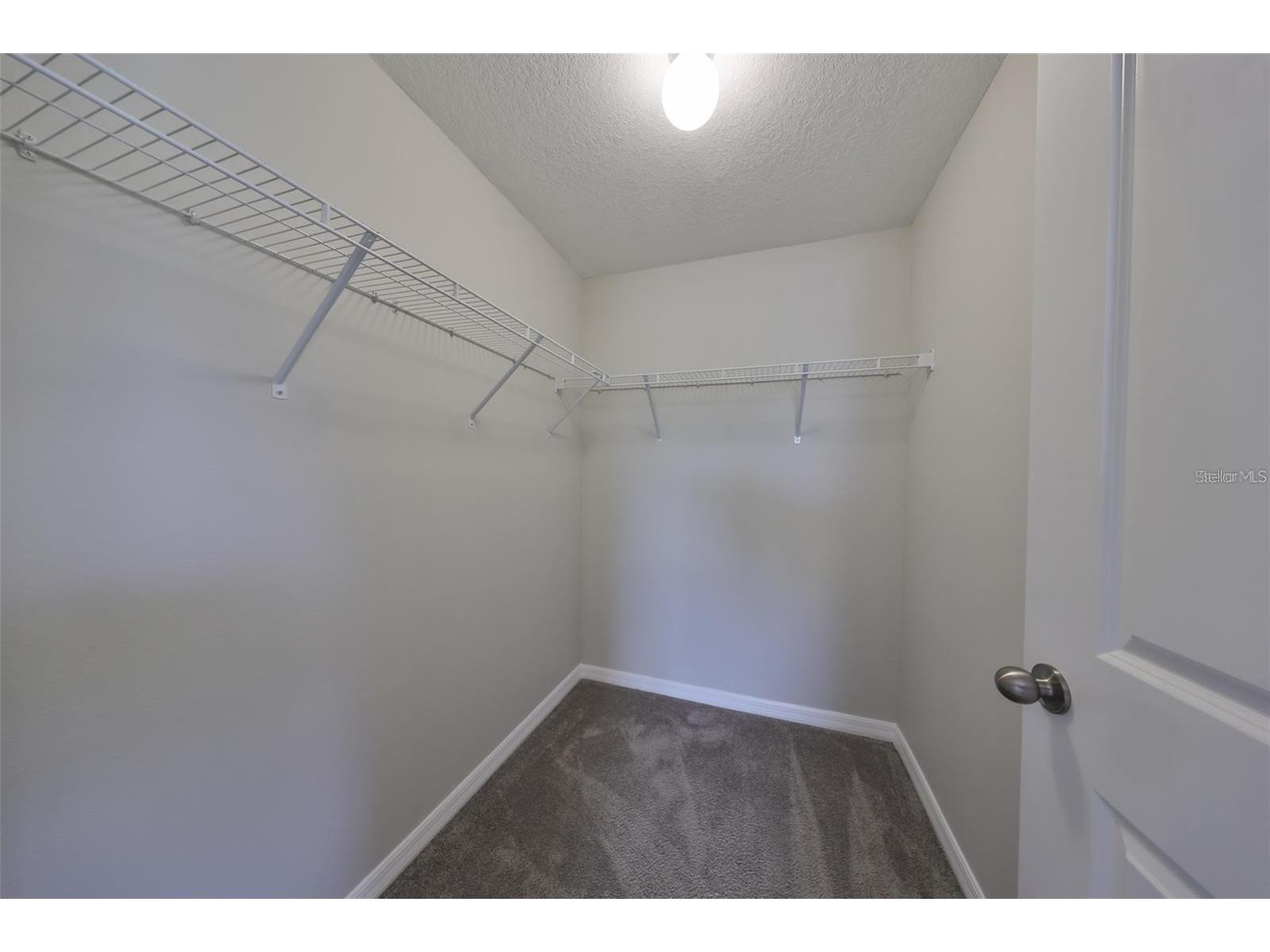 6328 Lantern View Place Apollo Beach FL 33572 TB8514802 image24