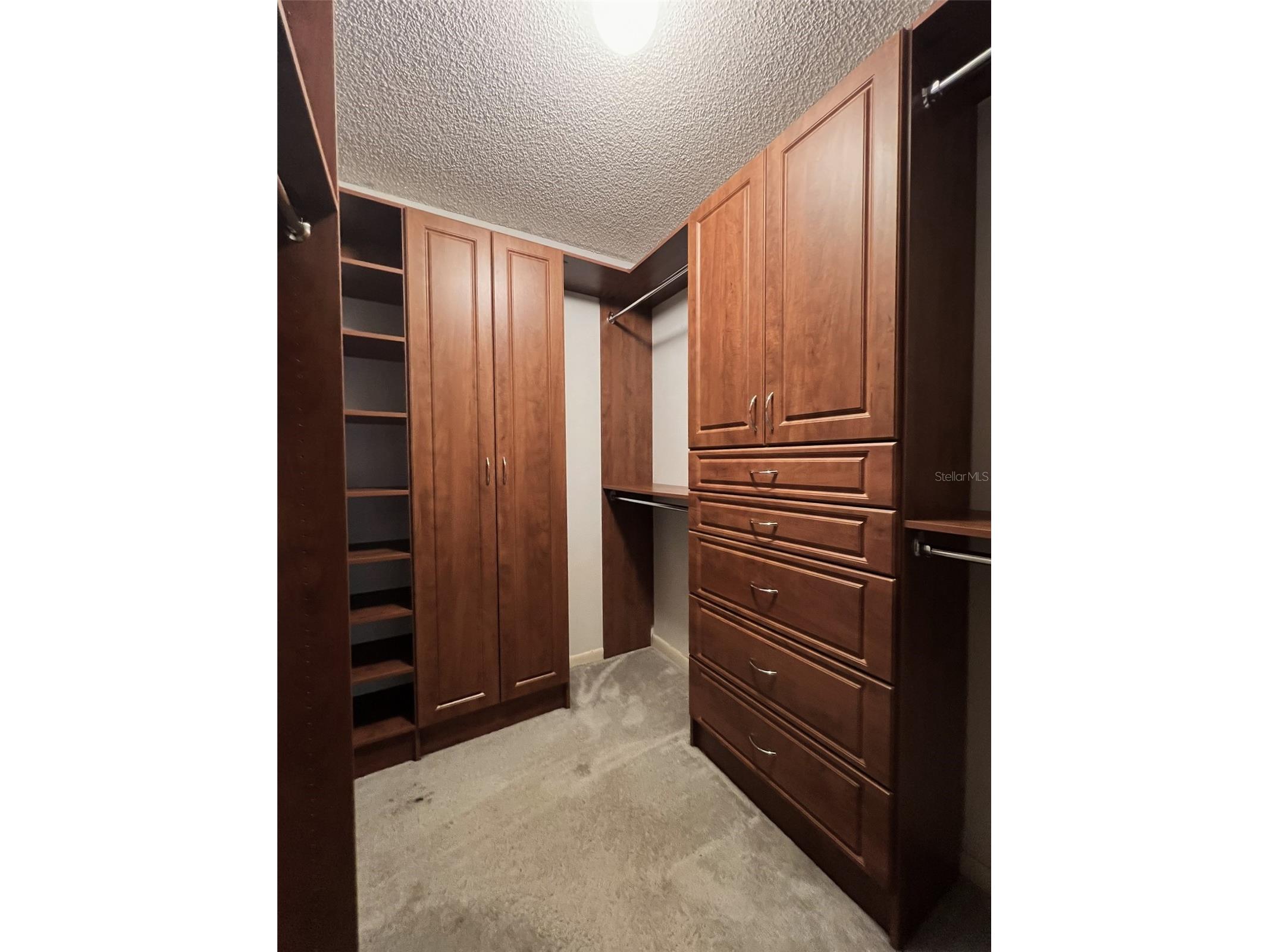 6328 N Queensway Drive Temple Terrace FL 33617 TB8525884 image29