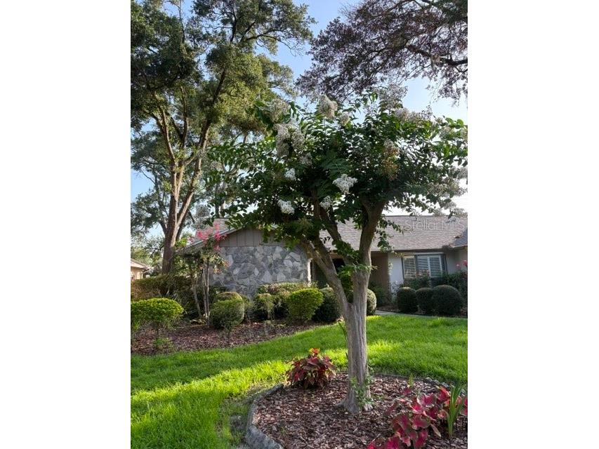 6328 N Queensway Drive Temple Terrace FL 33617 TB8525884 image36