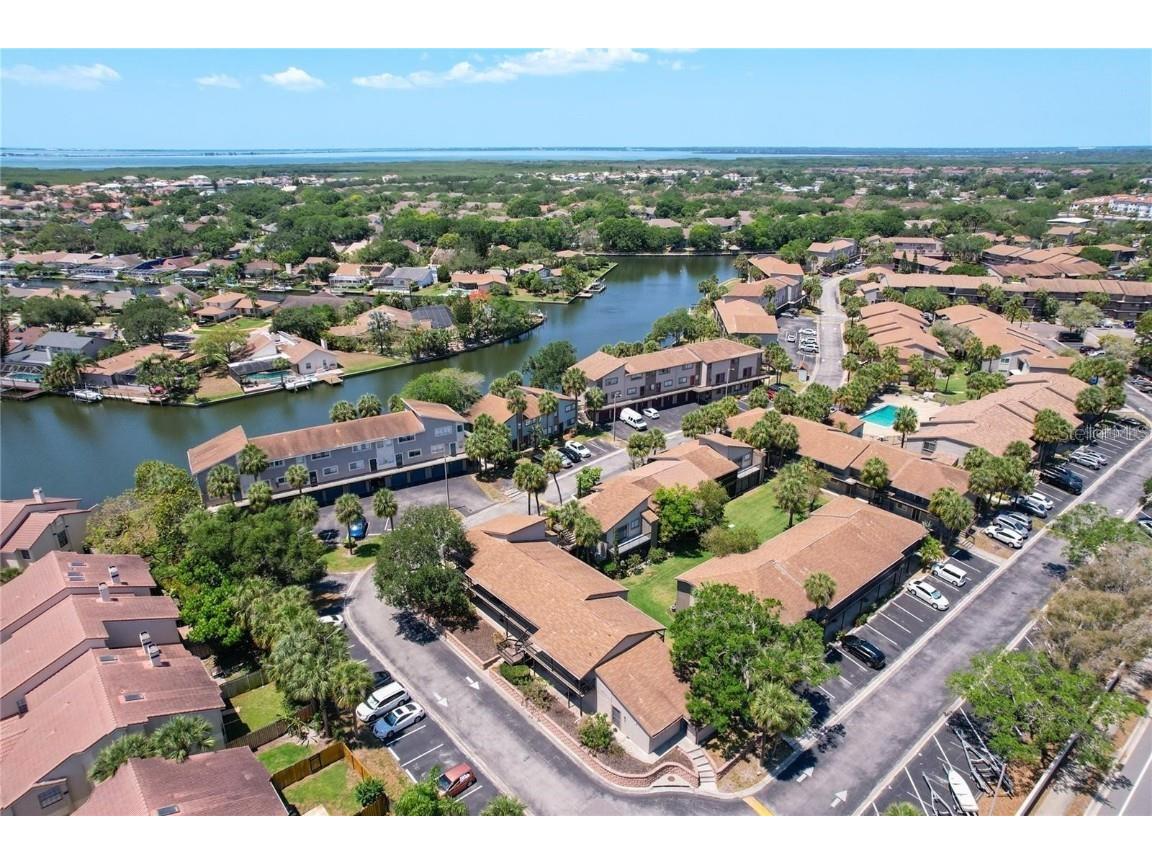 6328 Newtown Circle #28B3 Tampa FL 33615 TB8454018 image5