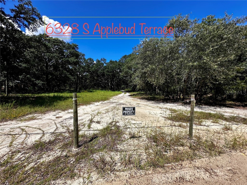 6328 S Applebud Terrace Lecanto FL 34461 T3547373 image1