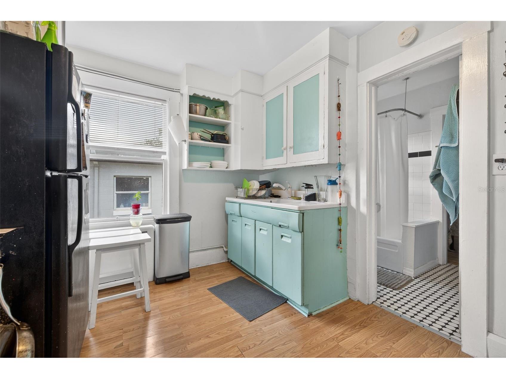 633 7th Avenue N Saint Petersburg FL 33701 A4697190 image13