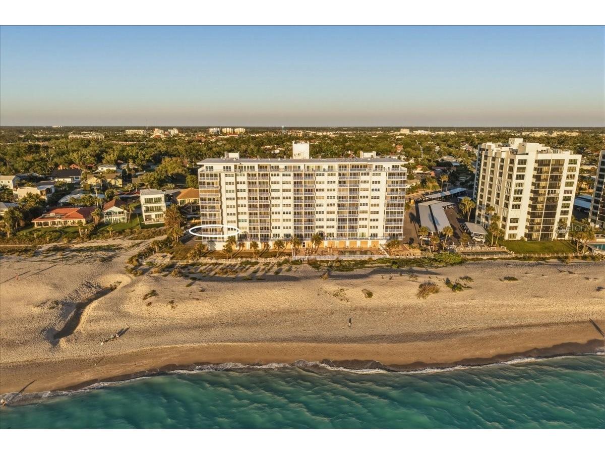 633 Alhambra Road #301 Venice FL 34285 A4686804 image1