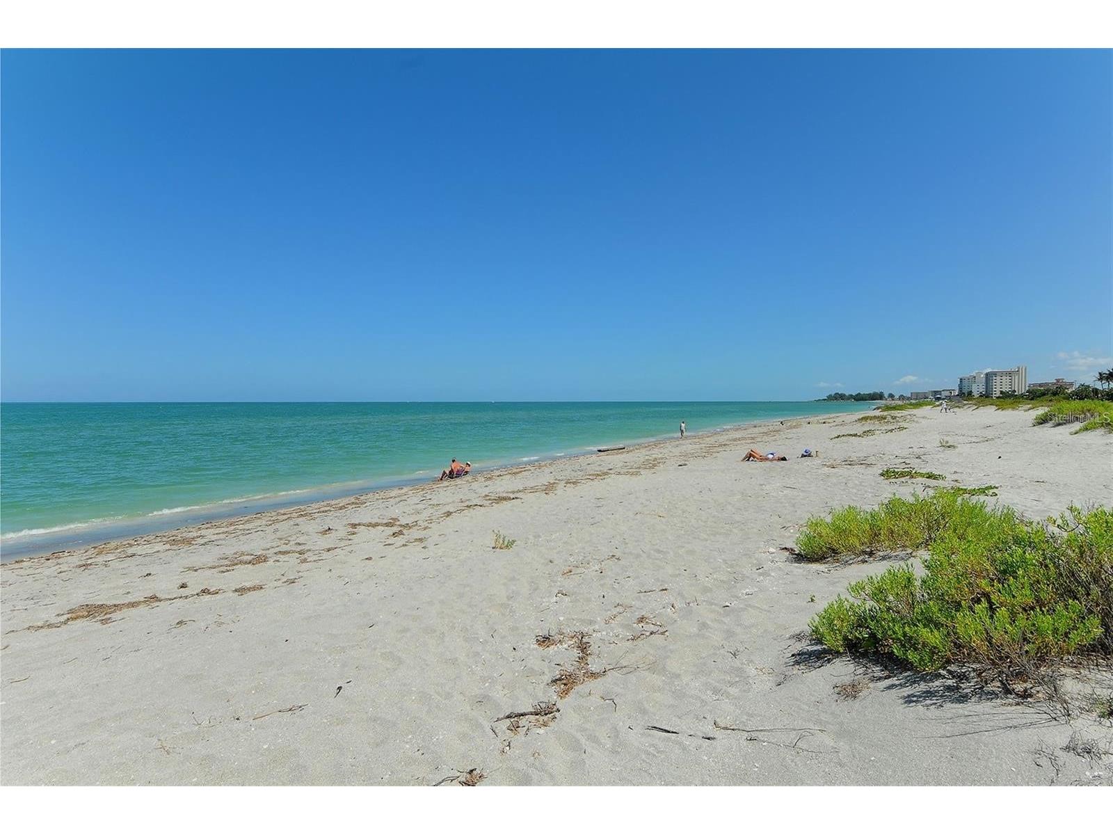 633 Alhambra Road #305 Venice FL 34285 - GULF OF AMERICA N6142609 image10