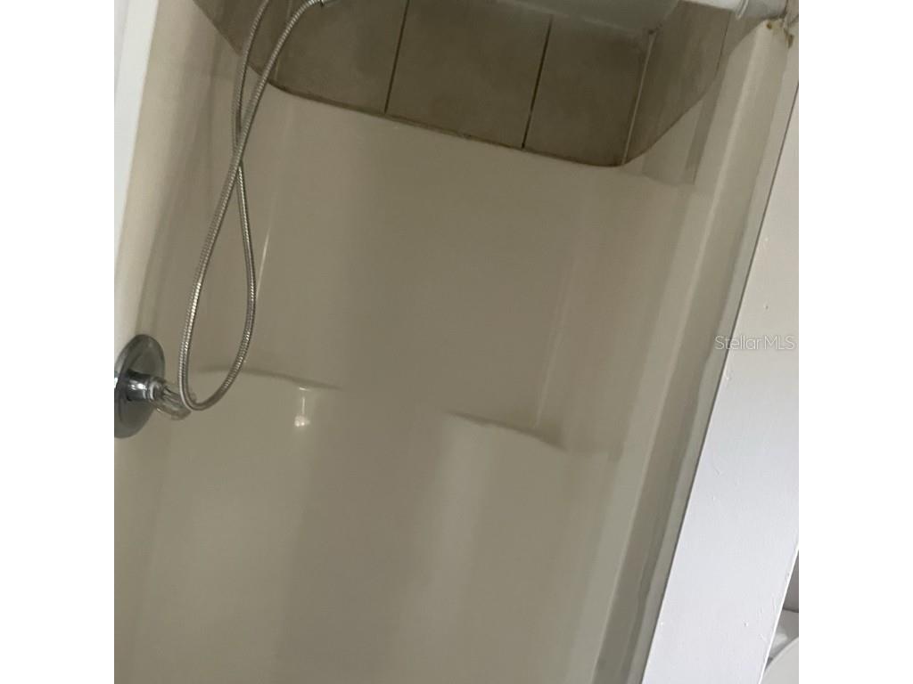 633 Byron Avenue Daytona Beach FL 32114 L4955705 image5