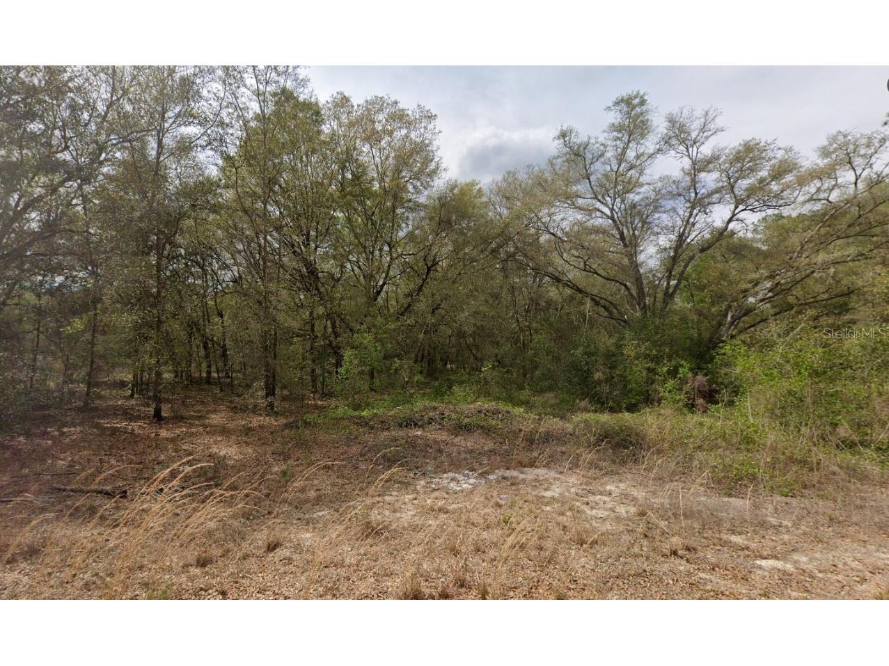 633 Guy Avenue Interlachen FL 32148 OK225600 image1