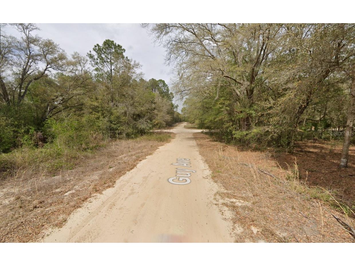 633 Guy Avenue Interlachen FL 32148 OK225600 image2