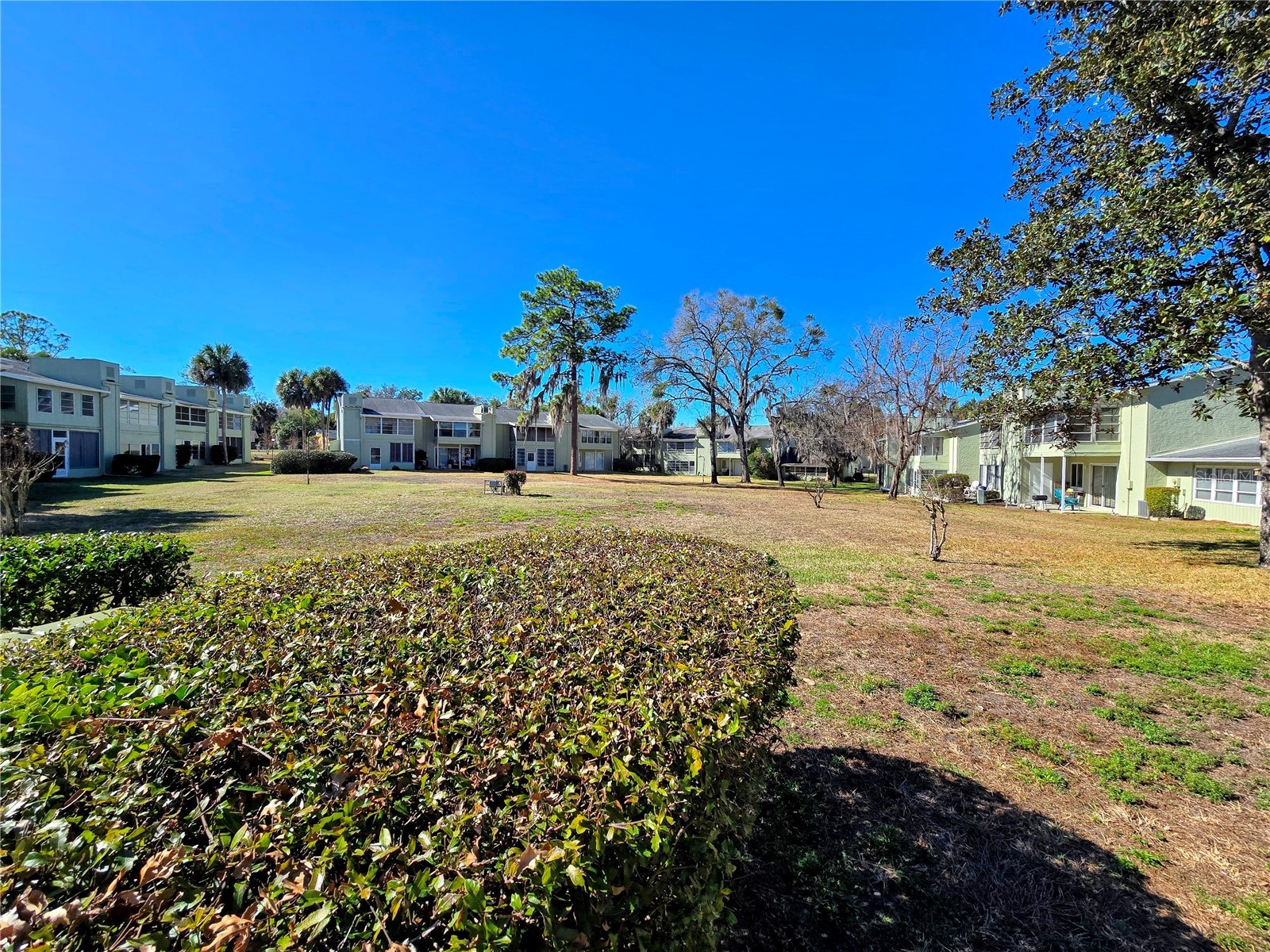 633 Silver Pass #B Ocala FL 34472 OM719750 image26