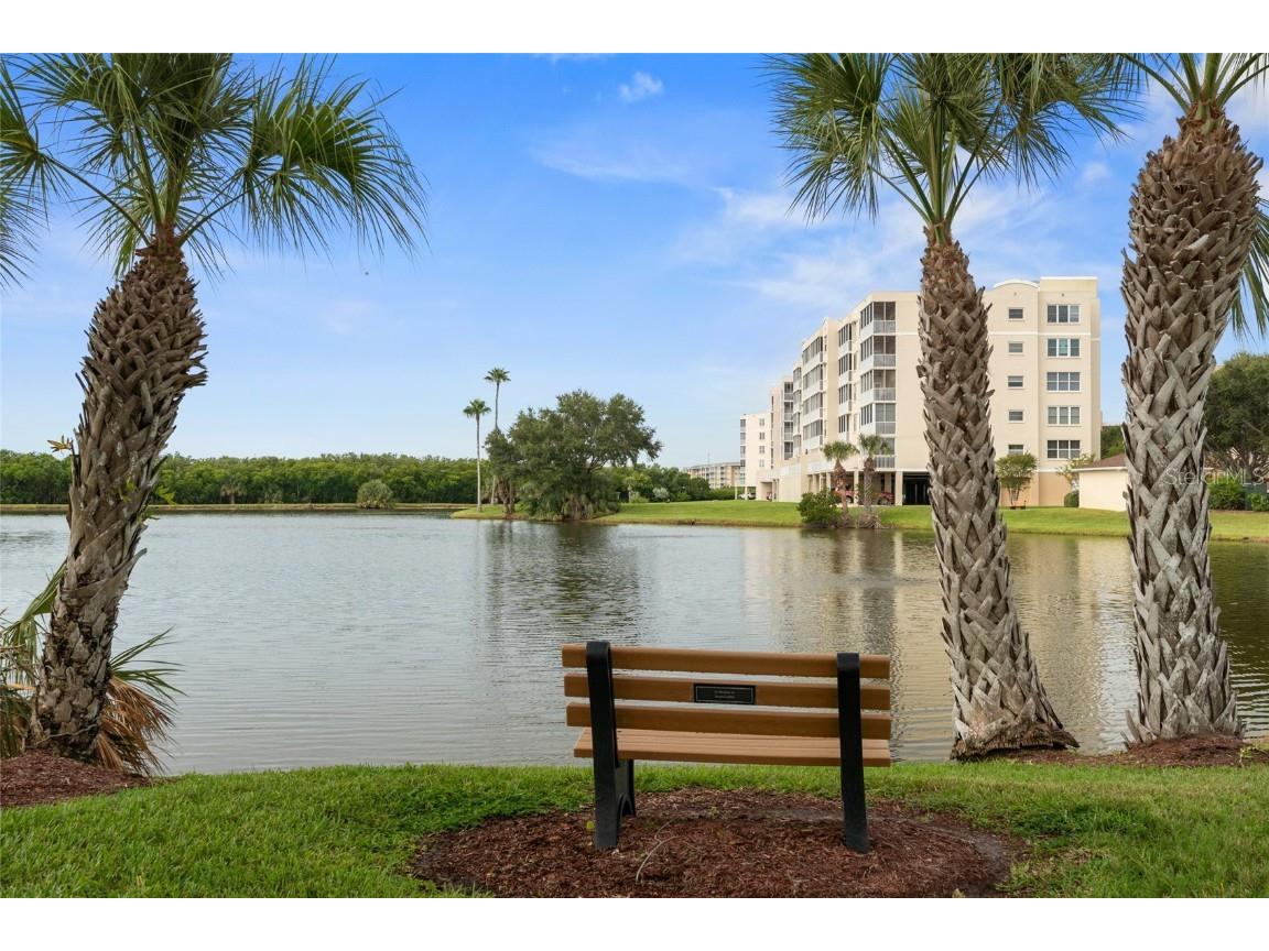 6330 99th Way N #14C Saint Petersburg FL 33708 - Retention pond TB8434357 image38