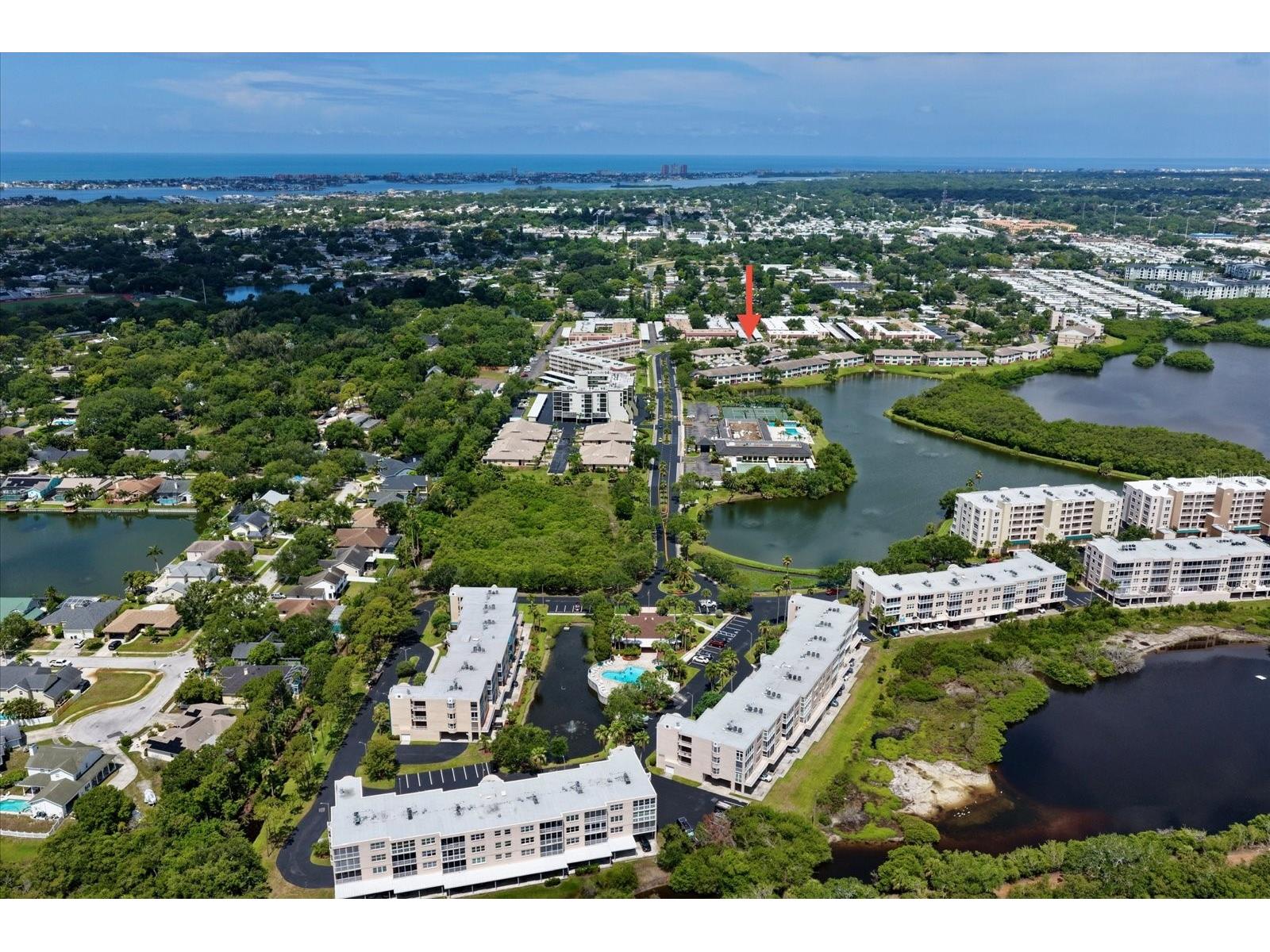 6330 99th Way N #14D Seminole FL 33708 TB8519852 image42
