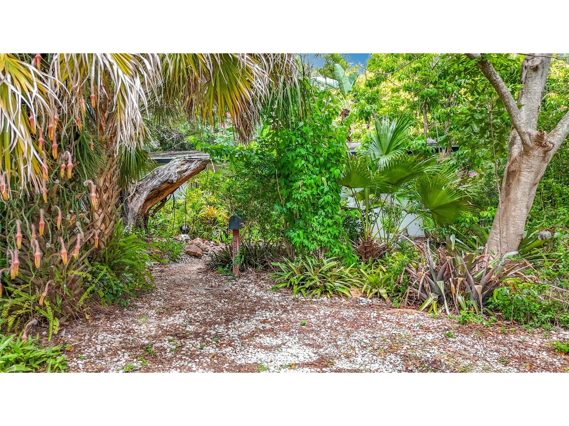 6330 Emerson Avenue S Saint Petersburg FL 33707 L4962583 image2