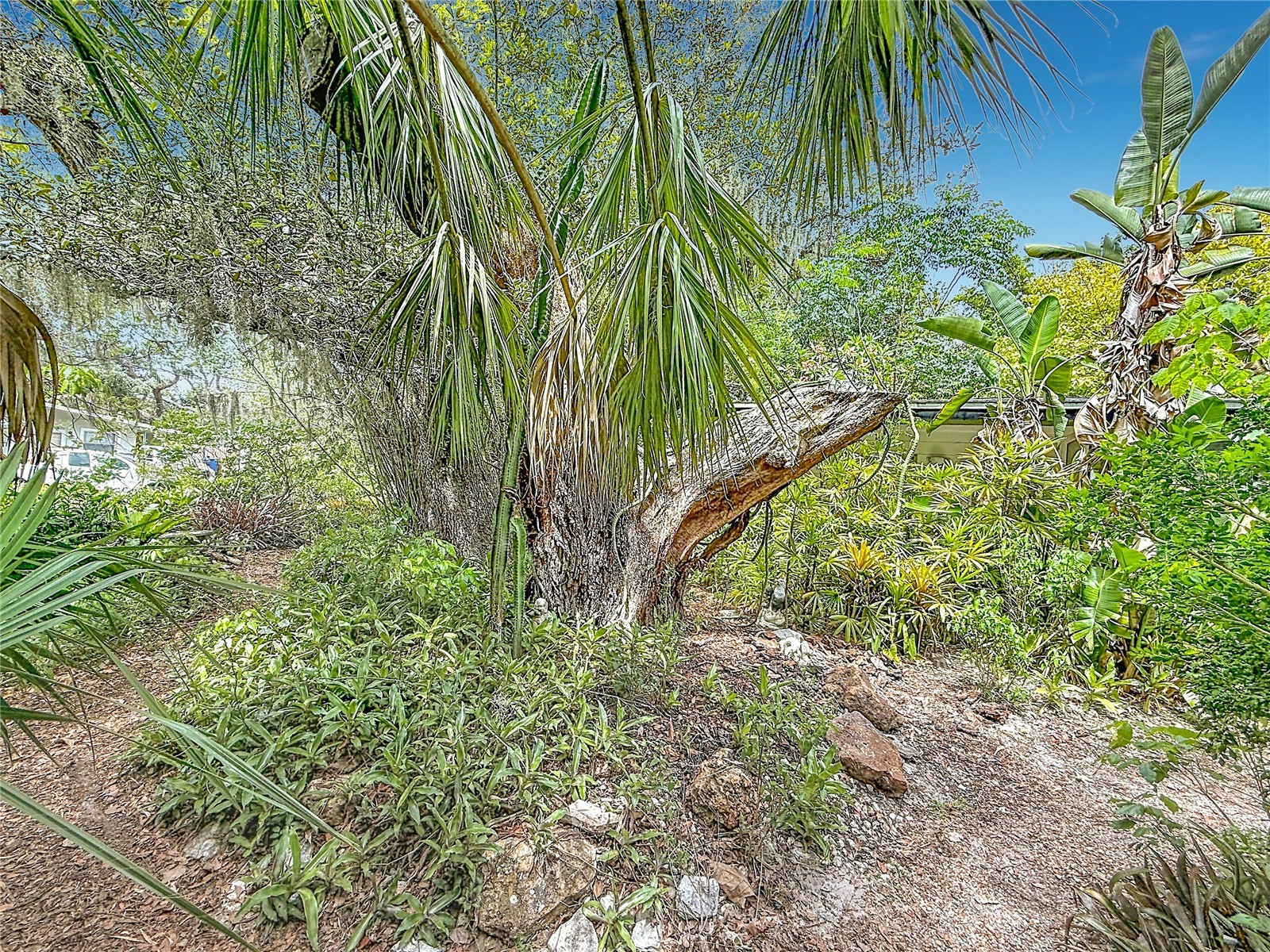 6330 Emerson Avenue S Saint Petersburg FL 33707 L4962583 image50