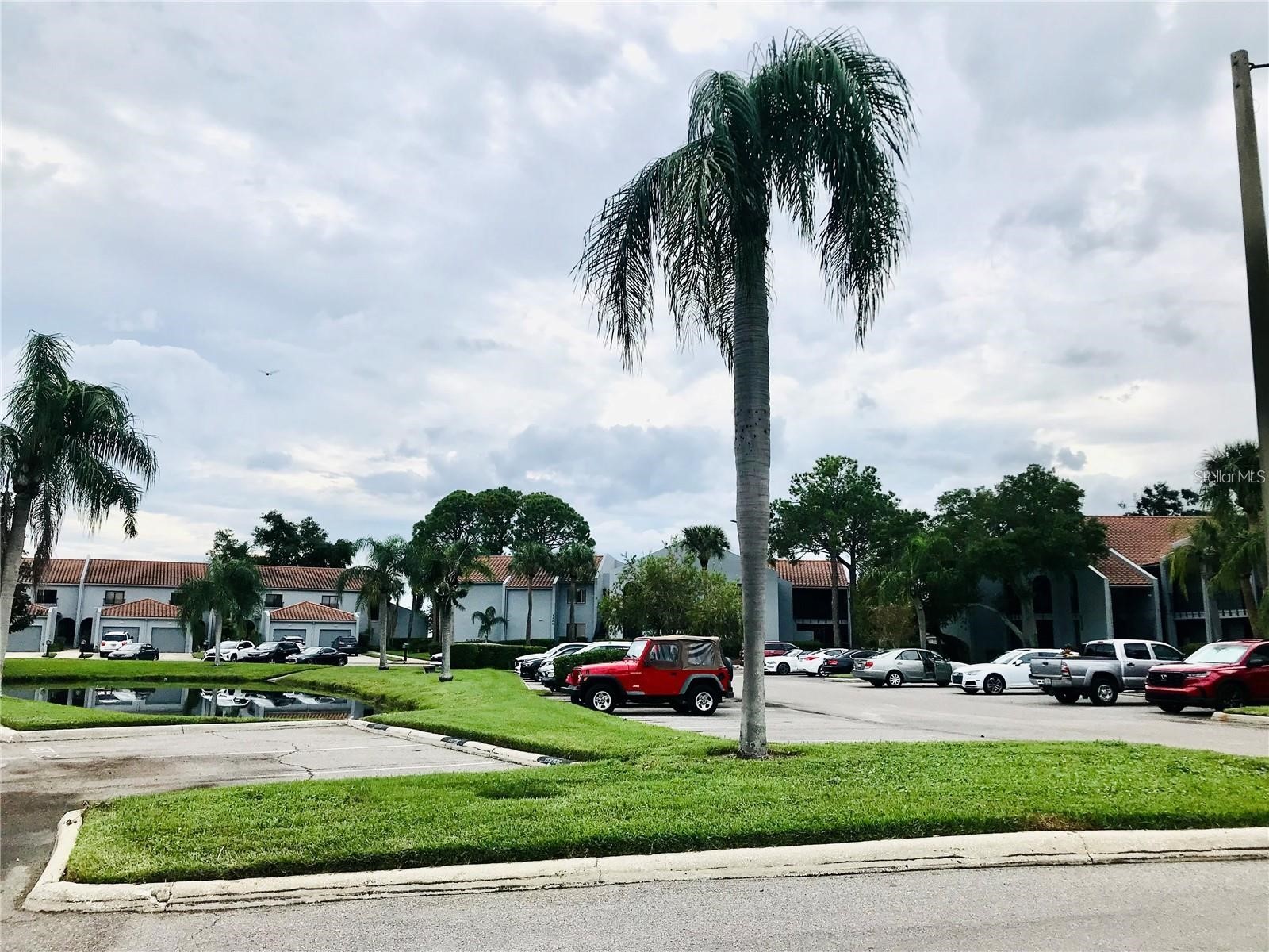 6330 Grand Bahama Circle #C Tampa FL 33615 TB8522184 image36