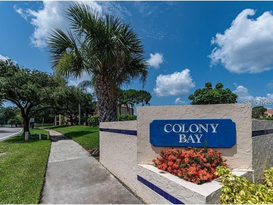 6330 Grand Bahama Circle #C Tampa FL 33615 TB8522184 image39