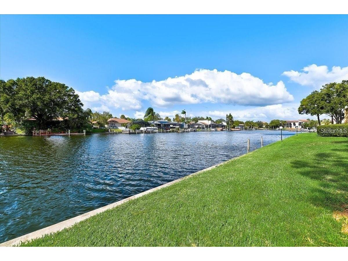 6330 Grand Bahama Circle #C Tampa FL 33615 TB8522184 image5